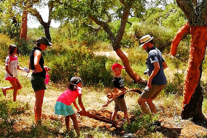 Walk on the Alentejo Cork Forest With Optional Lunch - Meals and Transportation Information