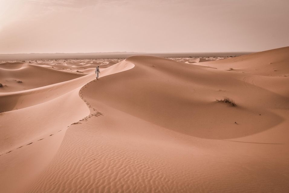 Walk Trek 8 Day From Marrakech to Erg Chegaga Camel Trekking - Experience Highlights