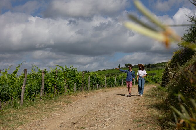 Walking Tour of Chianti Classico With 3 Organic Wine Tasting and Lunch - Tour Highlights