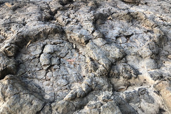 Walking With Dinosaurs Along Asturias Coast - Llastres Fishing Village Exploration