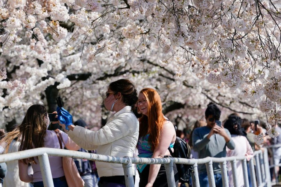 Washington DC : Cherry Blossom Walking Tour - Memorial Descriptions