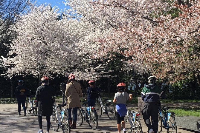 Washington DC Cherry Blossoms By Bike Tour - Inclusions and Logistics