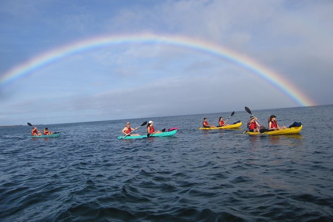 Waterfall Hike and Kayak Snorkel & Paddle From Makena - Additional Tour Information and Cancellation Policy