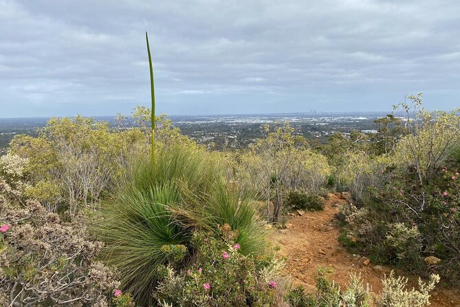 Waterfalls, Wildflowers & Wandoo Hiking Experience - Flora and Fauna Highlights