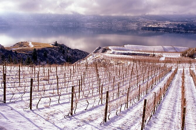 West Kelowna Wine Tour - Classic - 6 Wineries - Winery #3: Award-Winning Wines