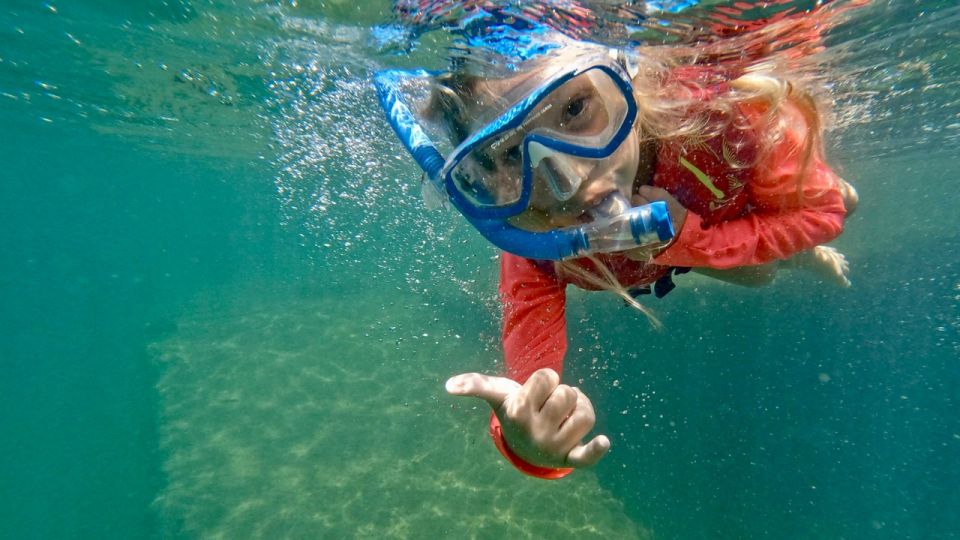 West Palm Beach: Beginner Snorkeling Adventure With Videos - Tour Details