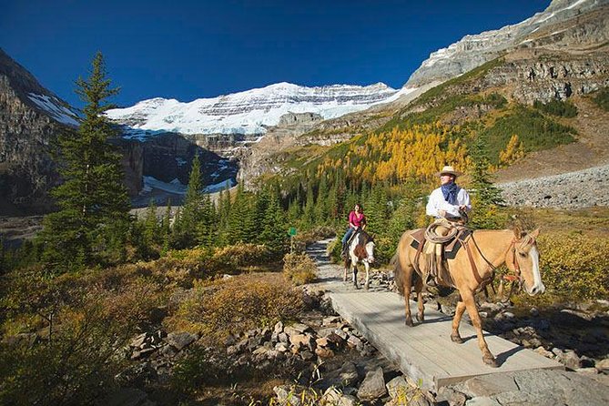 Western Trails - One Way Vancouver To Calgary Rockies Bus Tour - Booking Details