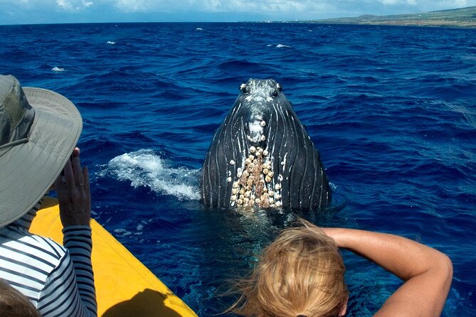 Whale Watch Adventure Aboard Mauis Only Luxury Super Raft - Meeting and Pickup Details