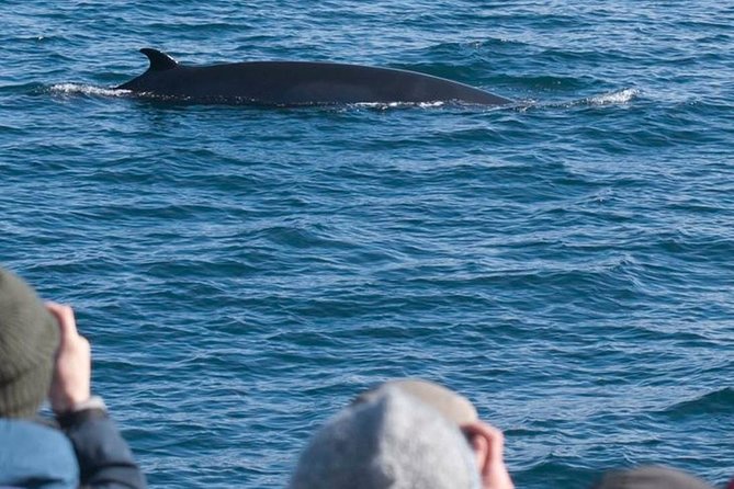 Whale Watching & ATV Adventure From Reykjavik - Pickup Point Details