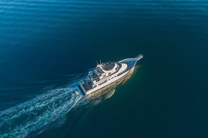 Whale Watching Cruise on a Yacht in Reykjavik - Traveler Experiences and Reviews