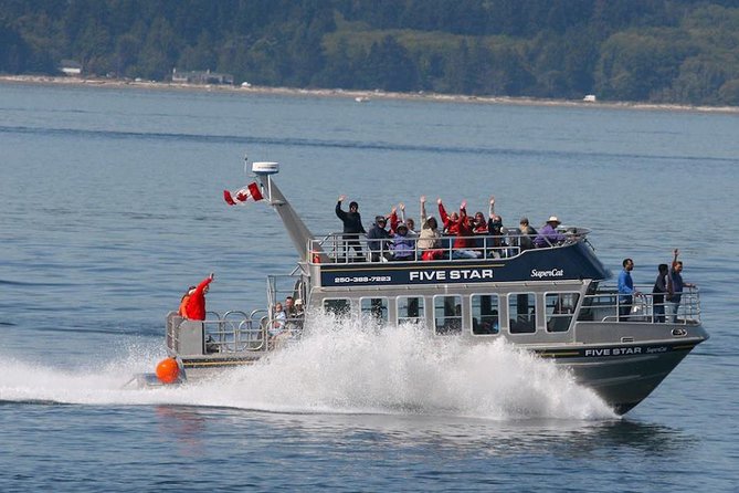 Whale Watching Cruise With Expert Naturalists - Logistics and Departure Information