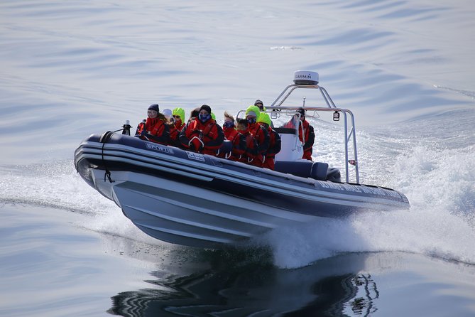 Whales, Eyjafjörður and Akureyri by RIB - Tour Overview