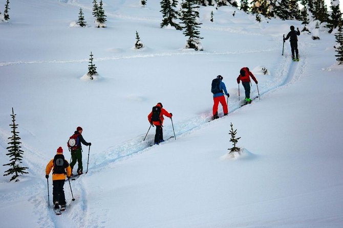 Whistler Backcountry Skiing and Splitboarding - Overview