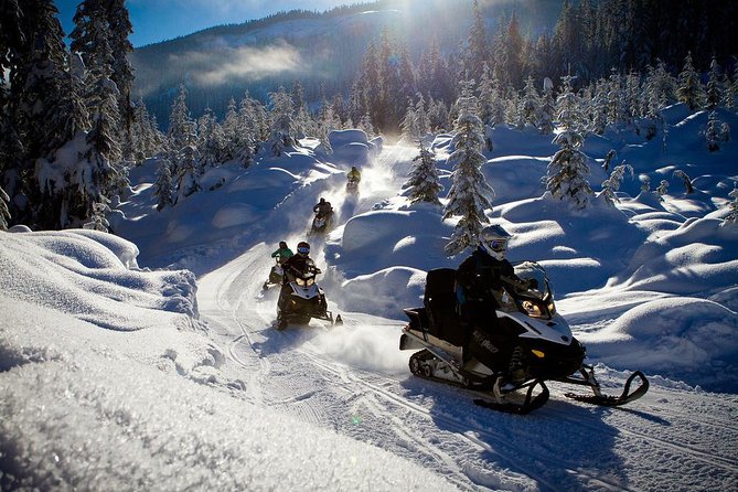 Whistler Cedar Forest Snowmobile Tour for Intermediate Riders - Tour Duration and Inclusions