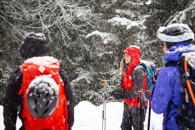 Whistler Intro to Backcountry Skiing and Splitboarding - Essential Gear for Backcountry Skiing