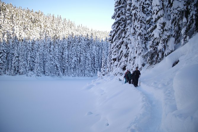 Whistler Small-Group Full-Day Snowshoe Tour - Group Size and Requirements