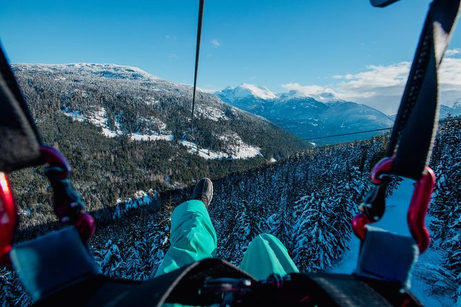 Whistler Superfly Ziplines - Cougar Mountain Ziplines