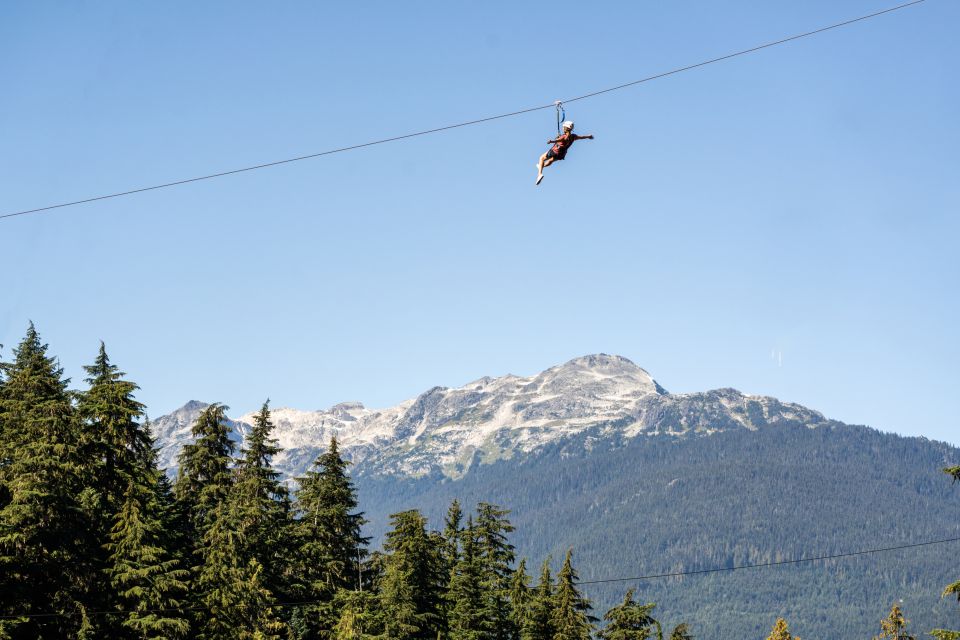 Whistler Zipline Experience: Ziptrek Eagle Tour - Zipline Experience Highlights