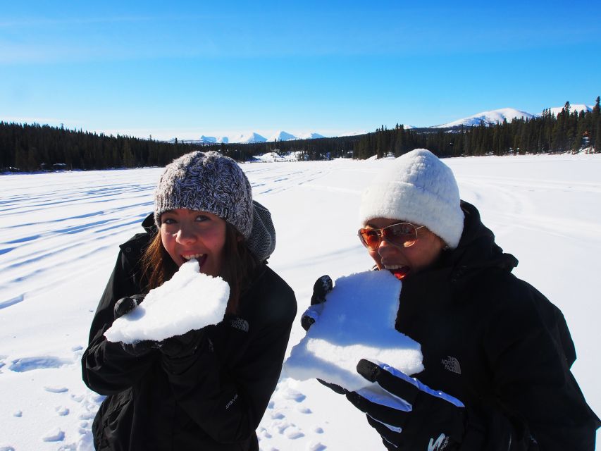 Whitehorse: Half-Day Snowshoeing Tour - Booking Details