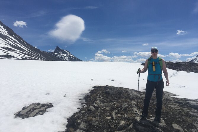 Wilcox Pass - Wildlife Encounters