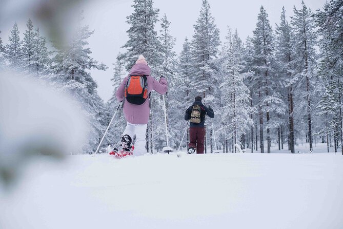 Wilderness Snowshoe Adventure - Pickup Service