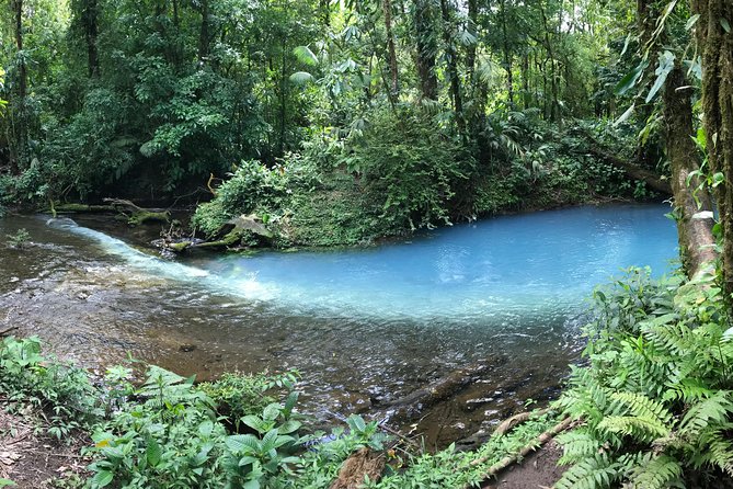 Wildlife Nature Hike, Blue Waterfall, Lunch & Sloth Trail - Tenorio Volcano Park - Pickup Information