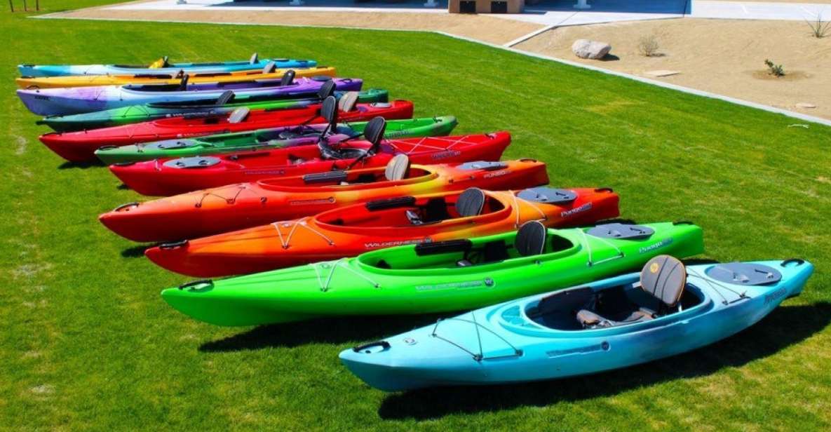 Willow Beach: Single / Tandem Kayak Rentals - Activity Duration and Host Information