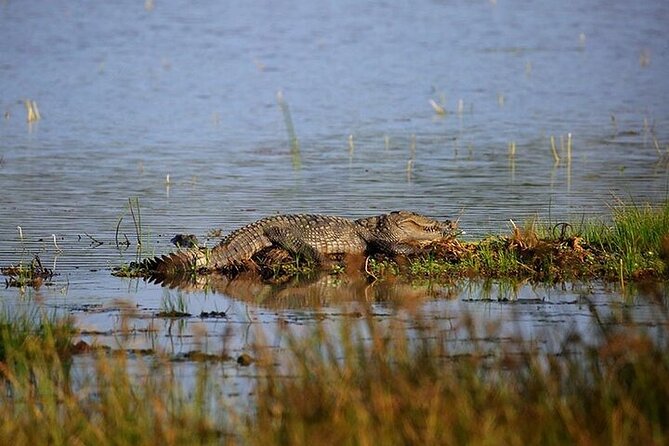 Wilpattu National Park Jeep Safari From Negombo / Waikkal (All Inclusive) - Safari Inclusions