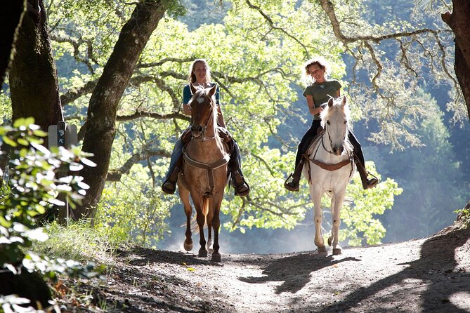 Wine and Horses A Day Out of Sydney City - Horseback Riding Through Scenic Trails