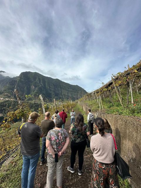 Wine Day Tour & Lunch in the Vineyard - Languages and Pickup Details