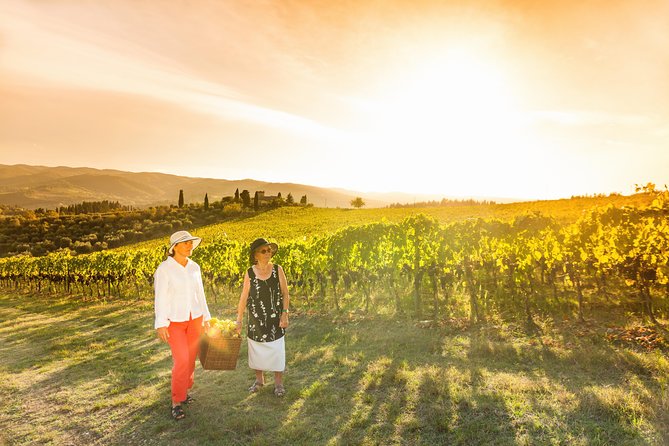 Wine Experience Bologna Hills - Vineyard Tour Highlights