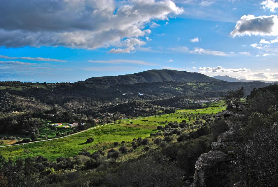 Wine Experience in Setúbal: Discover Flavors and Landscapes - Experience Description