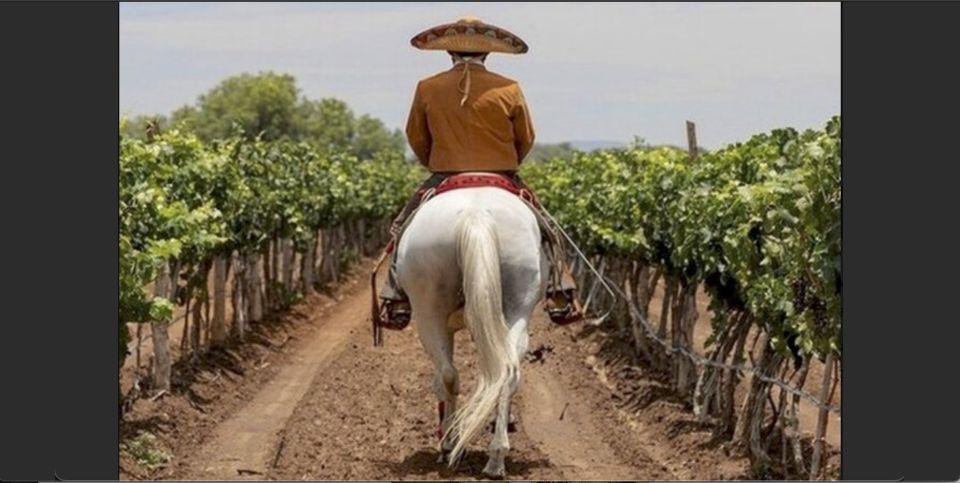 Wine Tour and Horseback Ride in Guanajuato City - Experience Highlights