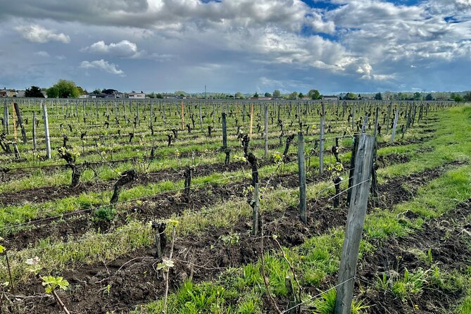 Wine Tour - Château Labrie Saint Emilion Grand Cru - Admission Information