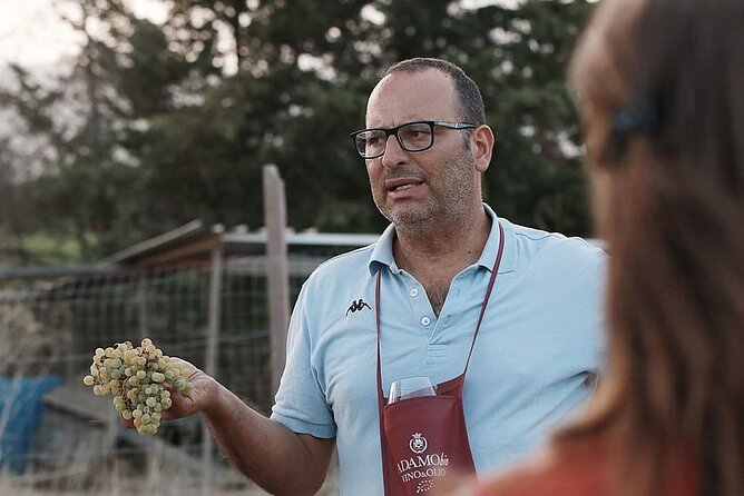 Wine Tour in the Historic Baglio Florio Adamo With Lunch - Booking Information