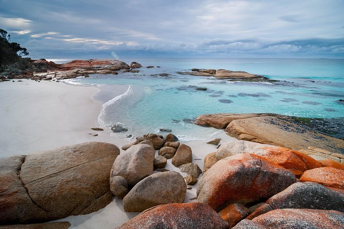 Wineglass Bay Day Tour Private Charter Service - Inclusions