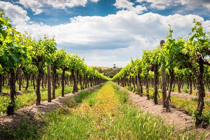 Wines and Whispers:Barossa Valley Private Wine Tour From Adelaide - Itinerary Overview
