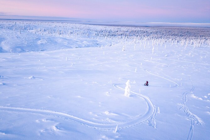 Winter Afternoon Group Ride in Saariselkä - Tips for a Successful Winter Cycling Experience