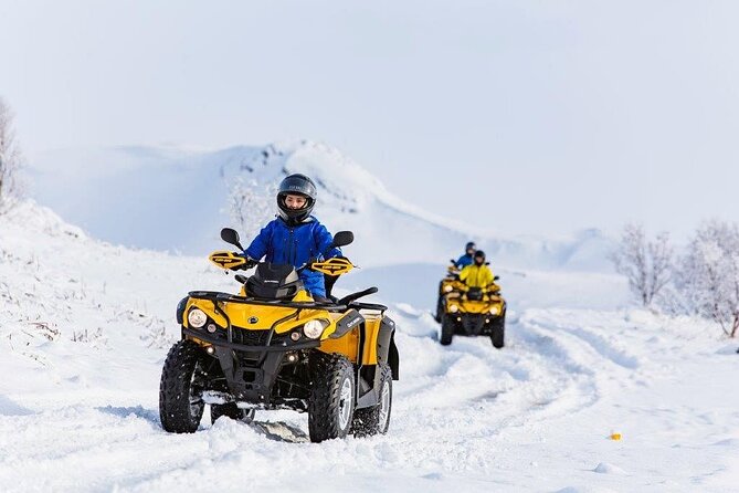 Winter Quad Bike Ride in the Arctic Circle From Rovaniemi - Wildlife Spotting With Expert Guide