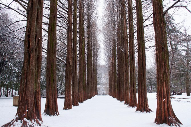 Winter Sonata TV Tour on Nami Island From Seoul - Behind-the-Scenes Insights