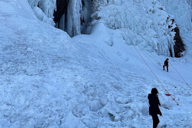 Wondae-ri Birch Forest and In-je Maebawi Icewall Full Day Tour - Booking Information