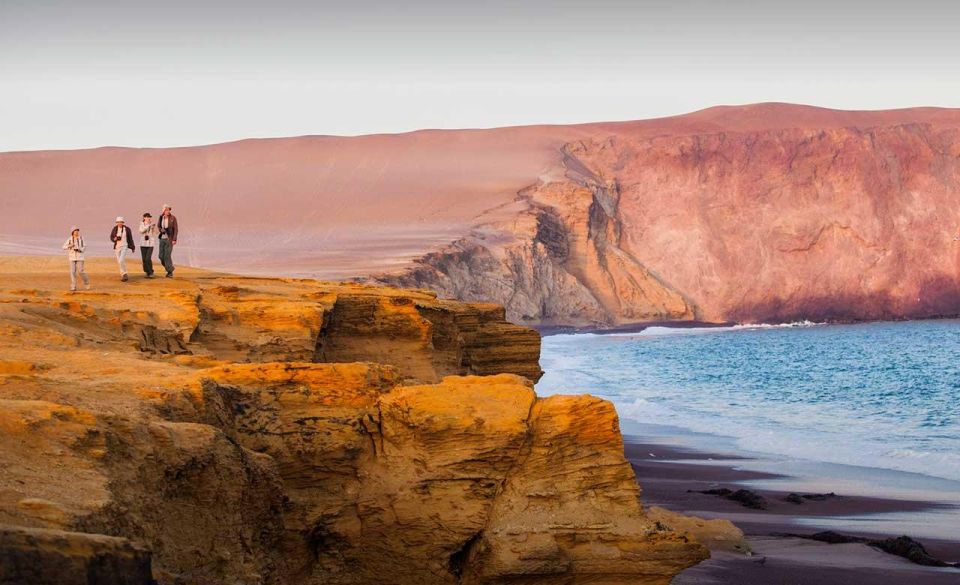 Wonders of Paracas: Ballestas Islands and National Reserve - Live Tour Guides and Pickup Details