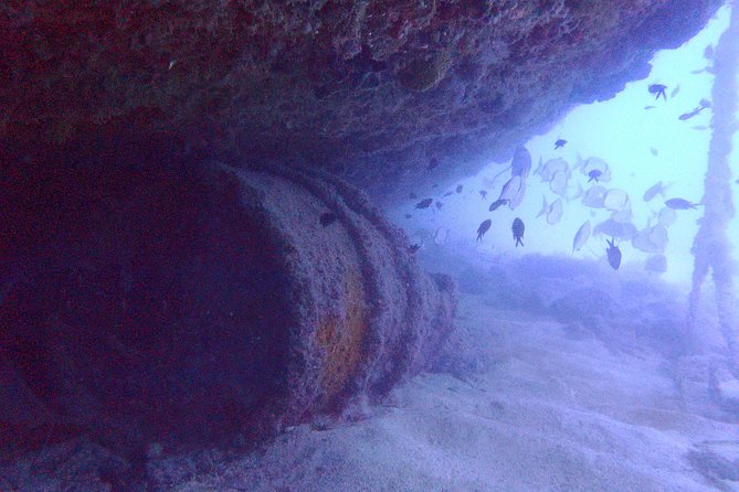 Wreck Exploration Ricardo-18m (Certified Diver) - Review Process Overview