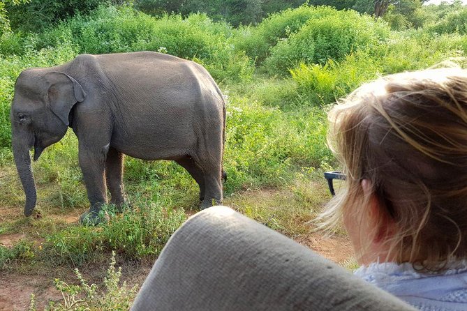 Yala Half Day Safari - Pricing Details