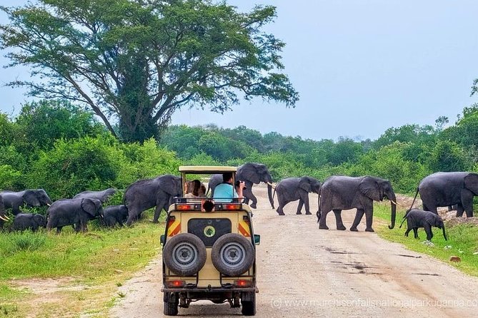 Yala National Park Private Safari (All Inclusive) From Mirissa - Pricing Information