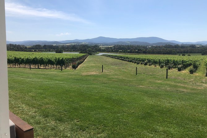 Yarra Valley, Dandenong Ranges Inc. Lunch With Wine,Plus Morning Tea,Chocolate - Highlights of the Experience