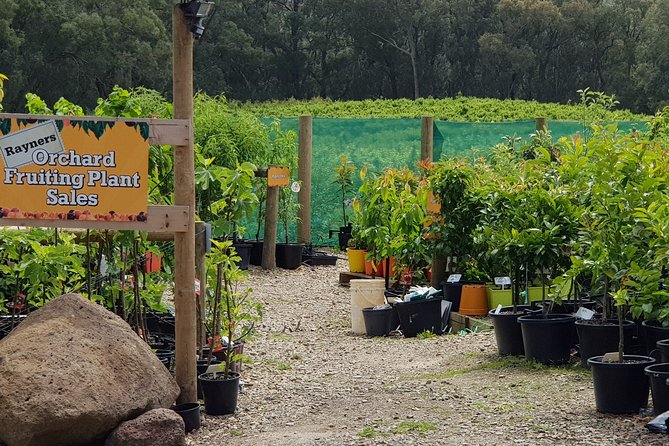 Yarra Valley Wineries and Rayners Orchard Tour From Melbourne - Pricing and Booking Details