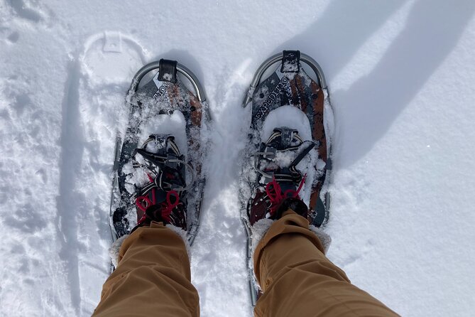 Yellowstone Snowshoe Adventure - Private Tour From Jackson Hole - Weather and Minimum Travelers Requirements