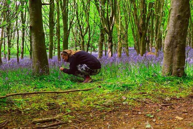 Yoga, Forest Bathing and Foraging Day Retreat Near Brighton - Booking Confirmation Details