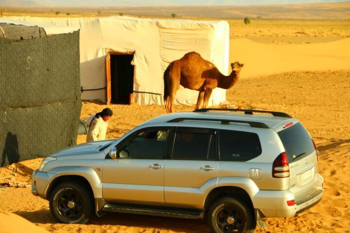 Zagora: Overnight in Luxury Desert Camp With Camel Ride, - Luxurious Overnight Stay in Desert Camp